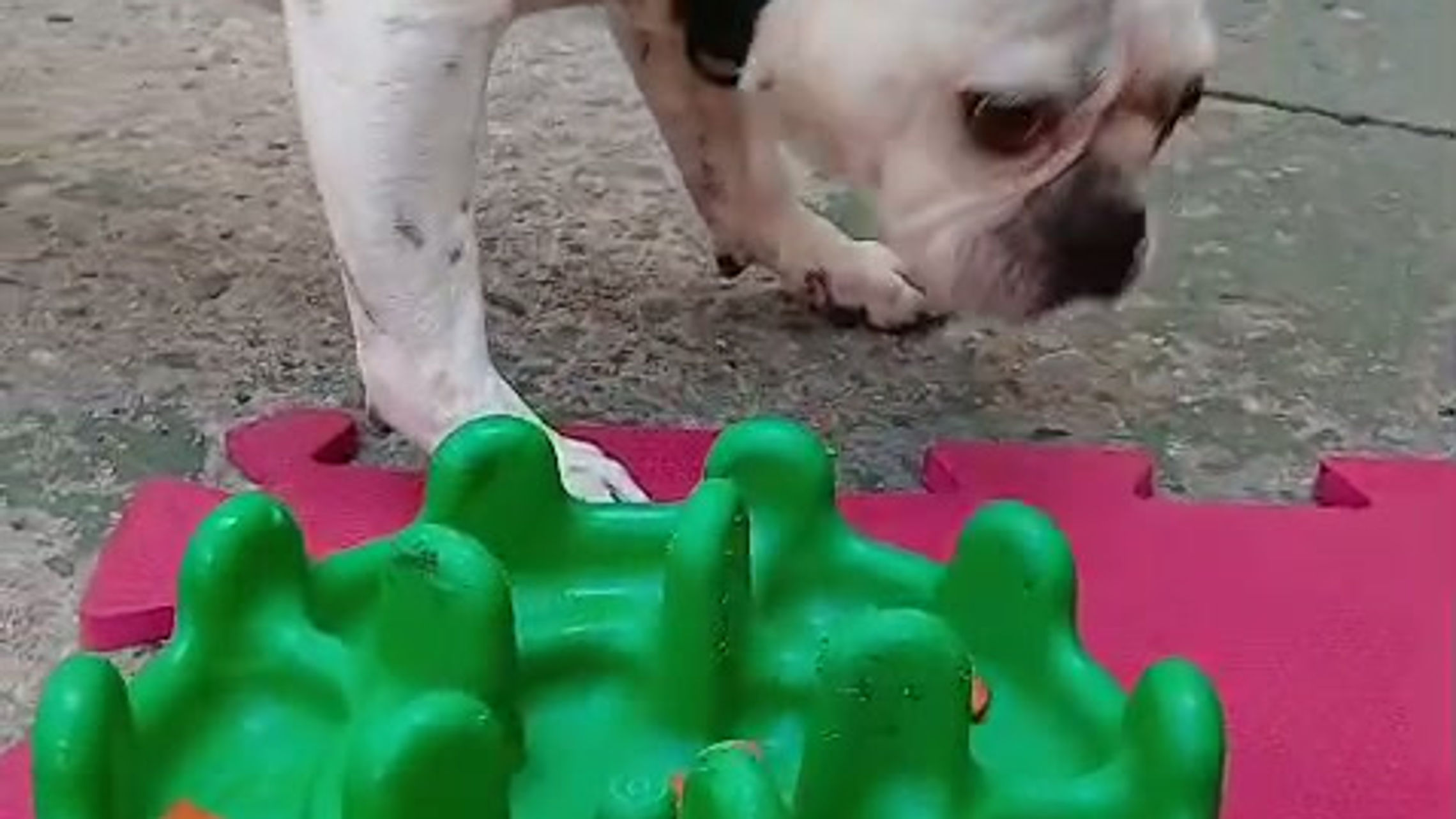 WhatsApp Video 2026-03-30 at 14.48.13